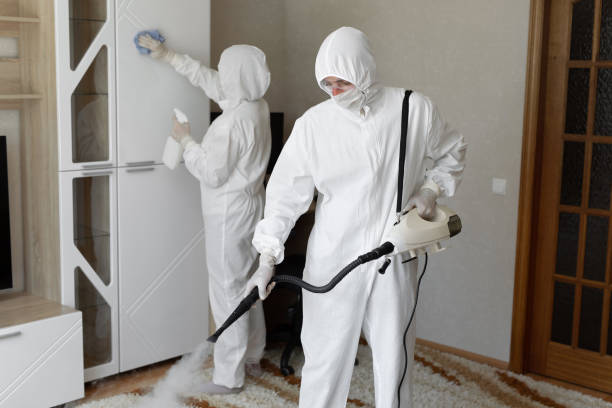 Best Residential Mold Removal  in Ashville, AL