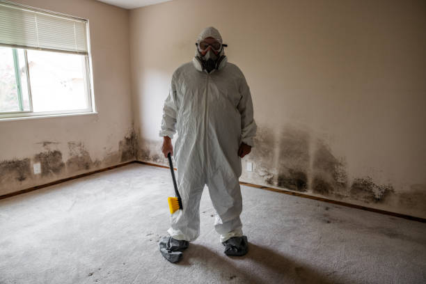 Best Office Mold Removal Services  in Ashville, AL